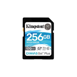 SDG3/256GB, Tarjeta de memoria precio