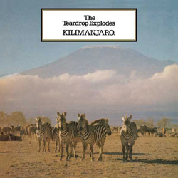 Kilimanjaro (Edición Deluxe) (LP-Vinilo) en oferta