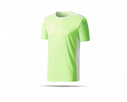 Adidas Entrada 18 Shirt short sleeve (CE9758) green precio