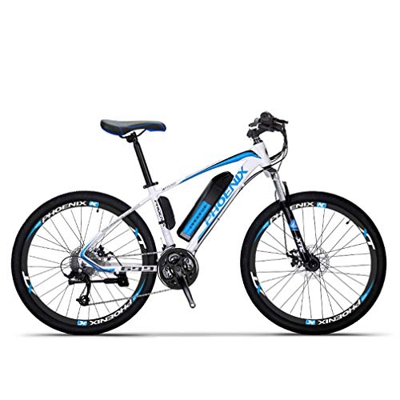 Adulto Bicicleta eléctrica de montaña, Bicicletas 250W Nieve, extraíble 36V 10AH batería de Litio de 27 de Velocidad de Bicicleta eléctrica, 26 Pulgad