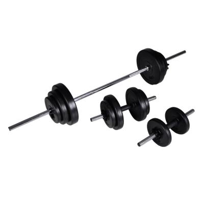 vidaXL Conjunto de Manucuernas 2 Pesas 30,5Kg Entrenamiento Discos Gimnasia