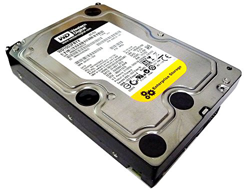 Western Digital 1TB WD RE4 1000GB Serial ATA II - Disco Duro (3.5", 1000 GB, 7200 RPM, Serial ATA II, 64 MB) en oferta