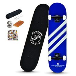 XLY Skateboard Completo, 31x8 Pro Skate Board 8 Capas de Madera de Arce Monopatin para Adultos, Principiantes, niñas, niños,Azul precio