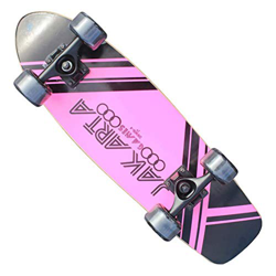 Hignful Retro Cruiser Skateboard 27 Inch Board Maple Penny Board Skate De Larga Distancia, Regalo Vintage para Adultos Principiantes Profesionales Niñ precio