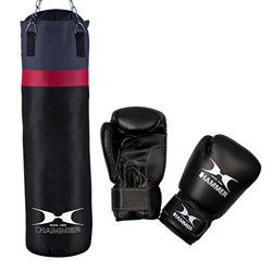 Hammer Home-Set Cobra - Conjunto de Saco de Boxeo y Guantes (28 x 100 cm), Color Negro características