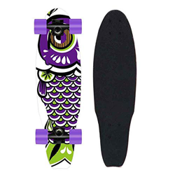 hdfj12142 Patineta de 26"Longboard Completo Tabla de Crucero de Madera de Arce Canadiense con Herramienta de patineta Todo en uno para Adolescentes, A características