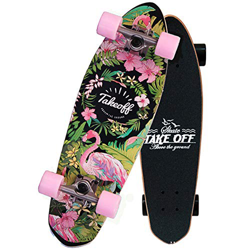 WRISCG Mini Cruiser monopatín Completo Twin Tip Skateboard 68 × 19cm, rodamientos ABEC-9, 7 Capas Monopatín de Madera de Arce, para Principiantes y Pr características