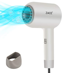 ZACE Secador de Pelo, Secador de Pelo Profesional Iónico con Protección Contra el Sobrecalentamiento (1300 W, 3 Configuraciones de Temperatura, 1 Boqu características