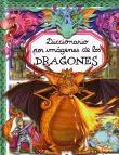 Dragones Diccionario por imágenes precio