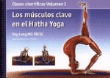 Los músculos clave en el Hatha Yoga