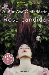 Rosa candida características