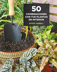 50 combinaciones con tus plantas de interior en oferta