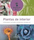 Plantas de interior precio