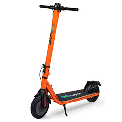 CNSturgeon Patinetes Eléctricos, Neumático Sólido de 8,5 Pulgadas E-Scooter Plegable con Pantalla LCD - Motor de 250W - Velocidad Máxima de 25 km/h -  precio