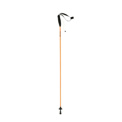 Eiger Poles Talla  115 en oferta