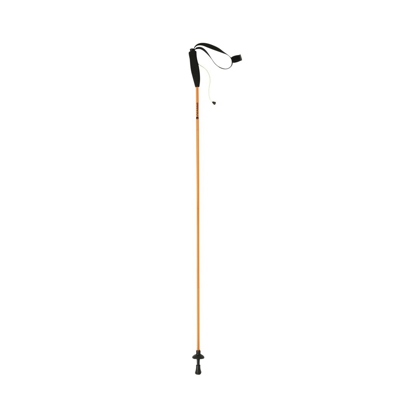 Eiger Poles Talla  115