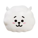 Cojín BTS BT21 RJ 32 cm características