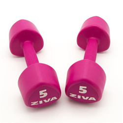 2 Mancuernas de 5 Kg Ziva Chic Studio Rosa características