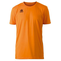 Camiseta Deportiva de Manga Corta Luanvi Pol Naranja Talla: M características