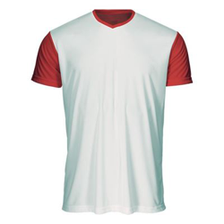 Camiseta de Manga Corta Luanvi Quick Transfer Rojo Talla: L precio