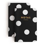 Set de 2 libretas Charua Notas de viaje S precio