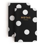 Set de 2 libretas Charua Notas de viaje S