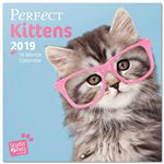 Calendario 2019 Perfect Kittens precio