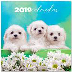 Calendario 2019 Chantrenne Dog características