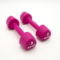 2 Mancuernas de 2 Kg Ziva Chic Studio Rosa en oferta