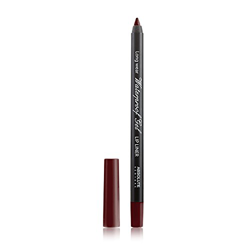 Absolute Ny Perfilador de labios waterproof gel chocolate 21 g en oferta