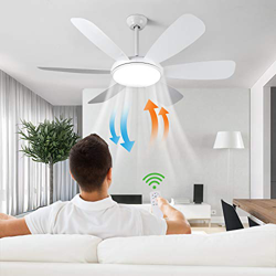 Albrillo Ventilador de Techo LED con LUZ - Ventilador Súper Silencioso de 91W, 3 Temperaturas de Colores y 6 Velocidades del Viento Ajustables, Tempor características