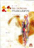 Cadenas musculares 3: la pubalgia precio