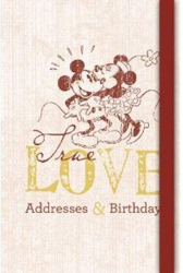 Green Address & Birthdays Mickey - Retro características