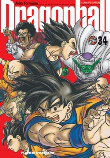 Dragon ball 34 precio