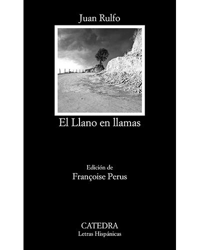 El Llano en llamas características