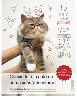Cómo convertirtu gato en una Celebrity de internet
