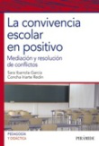 La convivencia escolar en positivo características