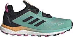 adidas Terrex Agravic Flow GTX W, Zapatillas de Trail Running Mujer, MENACI/NEGBÁS/ROSCHI, 38 2/3 EU precio