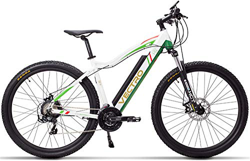 TYT Montaña bicicleta eléctrica 29 pulgadas bicicleta eléctrica, bicicleta de montaña Estándar blanco precio