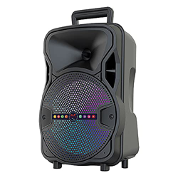 Altavoz Bluetooth Grande de Suelo Portátil Inalámbrico con Karaoke 8" 10 Watt ALP-804 | Sintonizador Radio FM, Batería Interna de 1200mah, Potente Alt precio