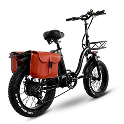 Bicicleta Plegable Y20 Ebike de 20 Pulgadas, Bicicletas Electricas Mejorada con Batería 15AH 48V, Bicicleta Montaña Adulto con 750W, Bicicleta Electri características