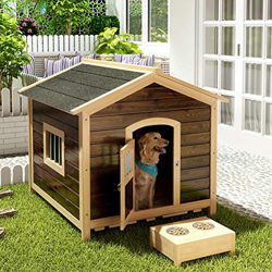 ZEIYUQI Casetas para Perros Exterior Grande De Madera con Puerta Y Ventana A Prueba De Viento Y Lluvia,para Labrador/Golden Retriever,Verde,M precio