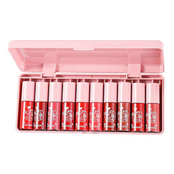 Set De Esmalte De Labios Set De Brillo De Labios Lápiz Labial Líquido,10PCS Lip Balm Hidratante Impermeable Lápiz Labial De Larga Duración Maquillaje  en oferta