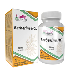 Berberina HCL 500mg 120 cápsulas, LABORATORIAMENTE PROBADO por AGROLAB ALEMANIA, altamente dosificado, no OGM, sin rellenos ni aditivos características