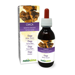 Chaga (Inonotus obliquus) hongo Tintura Madre sin alcohol Naturalma | Extracto líquido gotas 120 ml | Complemento alimenticio | Vegano precio