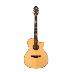 WANANNIGHT Guitarra electrica 41 Pulgadas G500C / G510C Guitarra acústica, Tapa de Abeto sólido, Lados de Palisandro y Espalda, Guitarra acústica Prof características