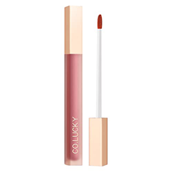 Pintalabios Mate Mist Velvet Lip Glaze Lápiz labial Velvet Fácil de colorear Duradero Mate Morandi Color Lip Dew No es fácil de desvanecer Impermeable características