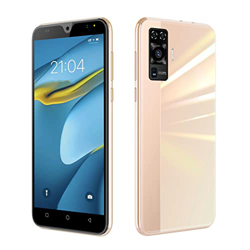 Smartphone Libre Barato y Bueno, Móvil Libre 4G Inteligente Android 9.0, 5.5 Pulgadas Dual Sim 3600mAh, 16GB ROM /3GB RAM,8MP+5MP Dual SIM Oferta Movi precio