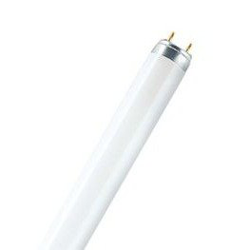 OSRAM - Tubo Fluoresce Lumilux Plus T8 Osram 58 W precio