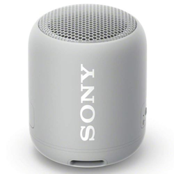 Sony SRS-XB12 gris precio